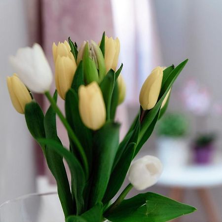 Barbablue Flat - The House Of Travelers Apartment Комо Екстериор снимка